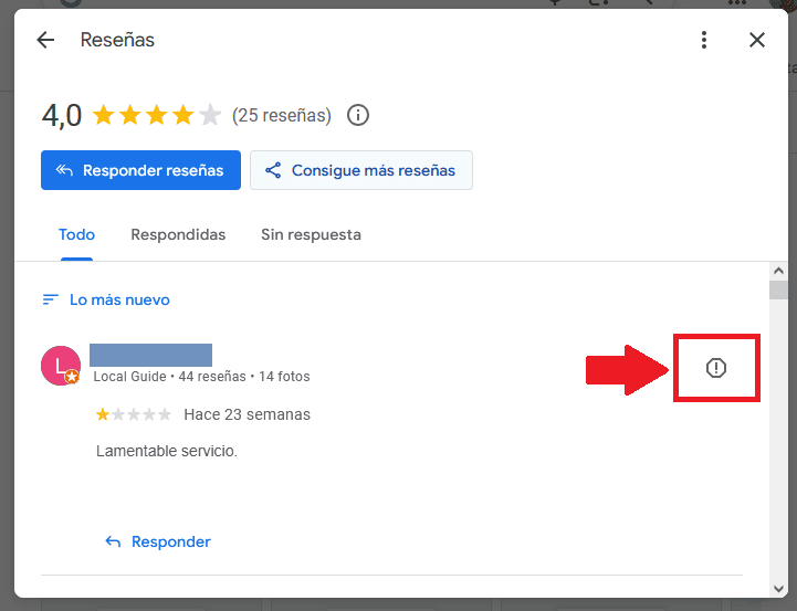 Google Business Profile - denunciar reseña