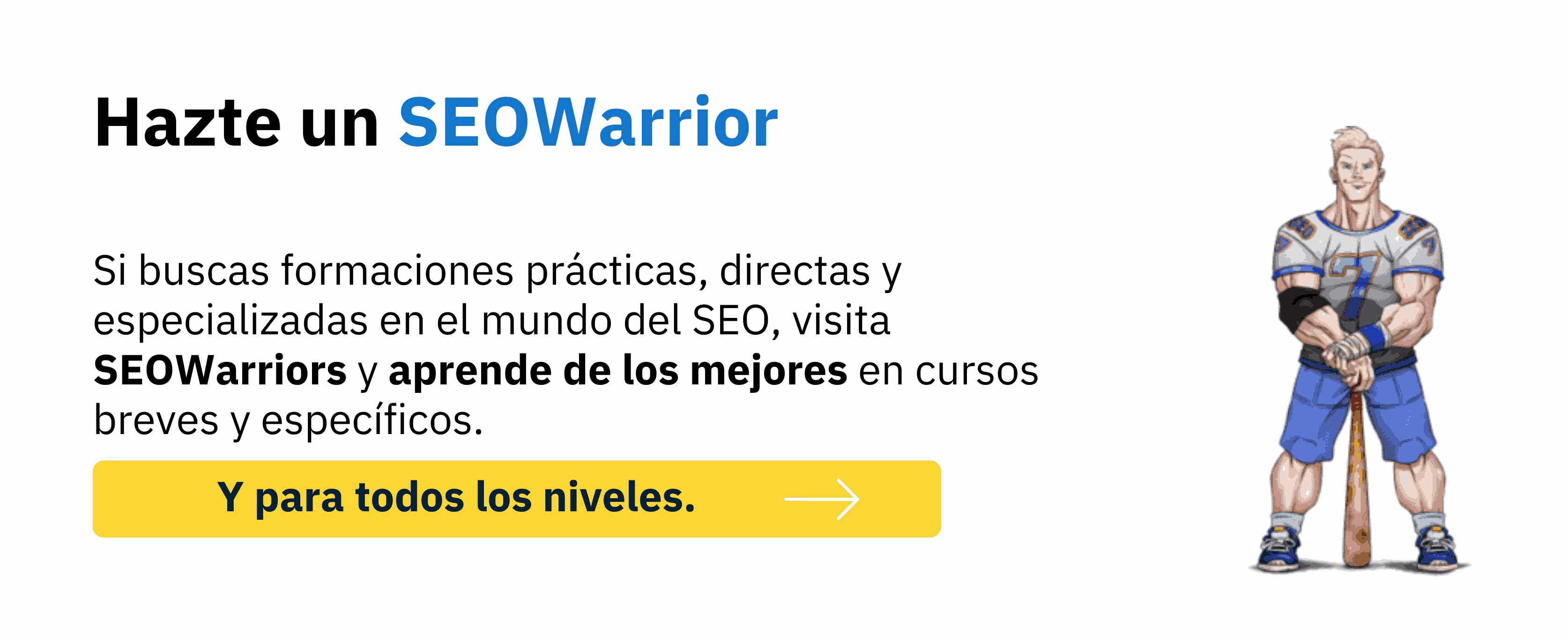 Banner para SEOWarriors