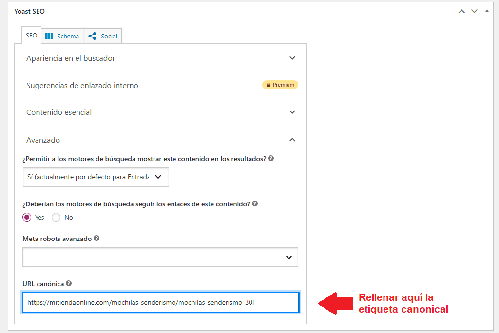 Estrategias para resolver canibalizaciones SEO: etiqueta canonical con Yoast SEO