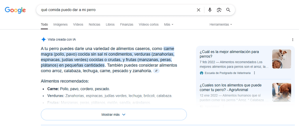 Ejemplo pregunta en AI overviews