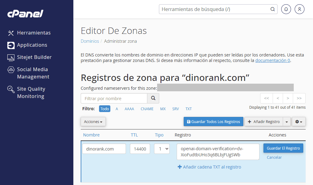 Registro de dominio en ChatGPT: modificación de DNS Zones