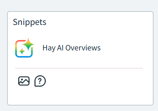 Presencia de Snippets en las SERPs desde el módulo de keyword research de DinoRANK