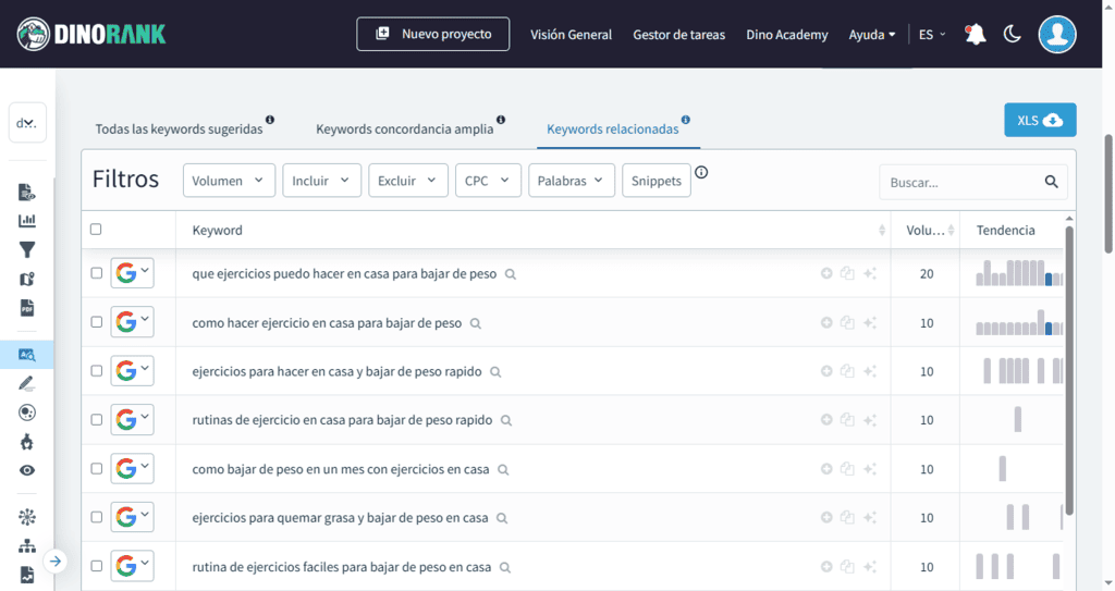 Variaciones de una keyword (módulo de Keyword Research de DinoRANK)