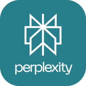 Perplexity