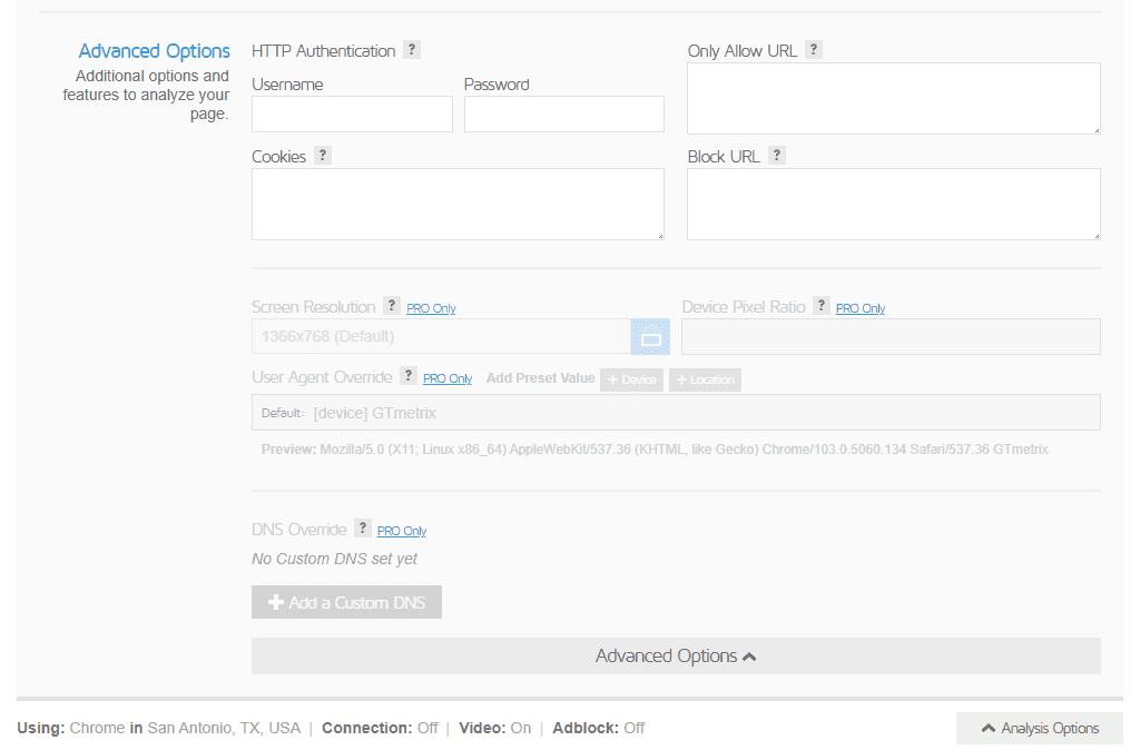 gtmetrix-advanced-options